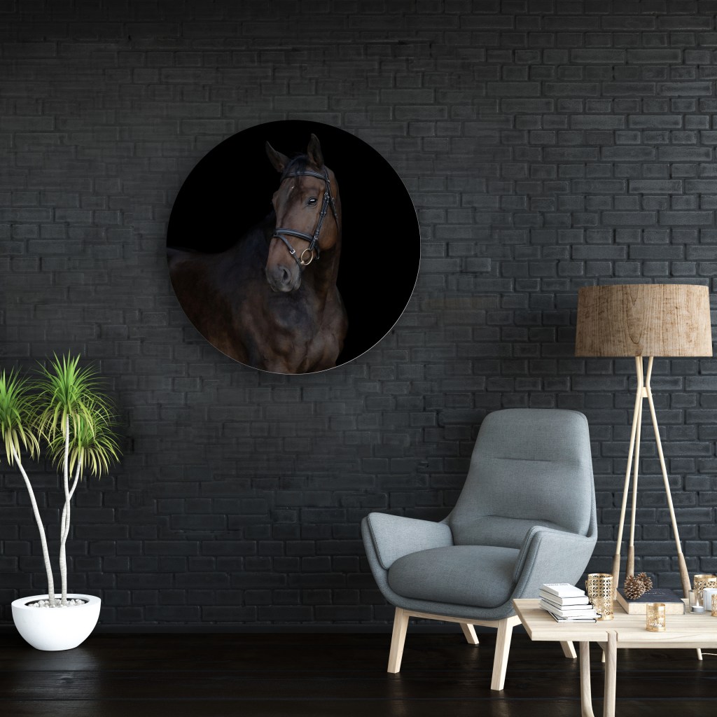 A round framed portrait of a horse on a black background in a room setting.